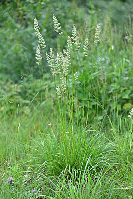 BUITEN BEELD Foto: 449009