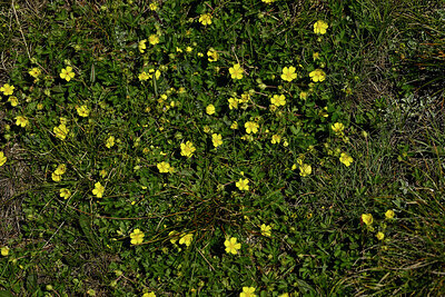 BUITEN BEELD Foto: 449018