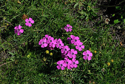 BUITEN BEELD Foto: 449026