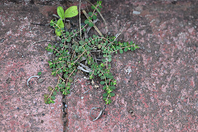BUITEN BEELD Foto: 449030