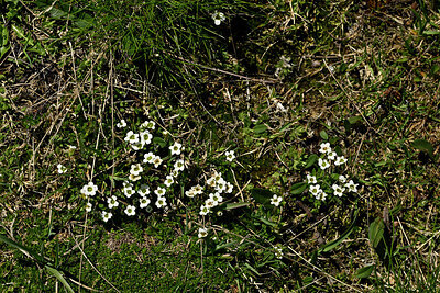 BUITEN BEELD Foto: 449034