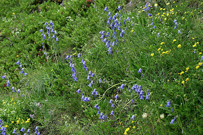 BUITEN BEELD Foto: 449042