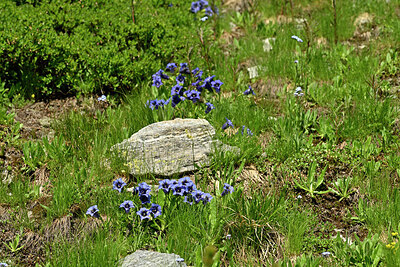 BUITEN BEELD Foto: 449043
