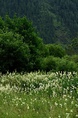 BUITEN BEELD Foto: 449050