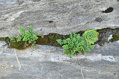 BUITEN BEELD Foto: 449054
