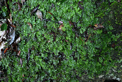 BUITEN BEELD Foto: 449060
