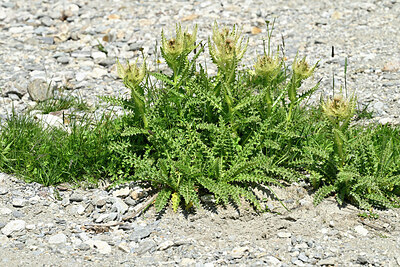 BUITEN BEELD Foto: 449061