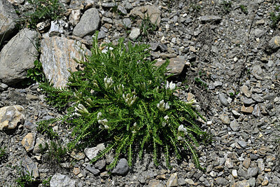 BUITEN BEELD Foto: 449063
