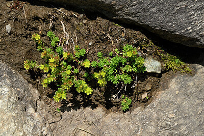 BUITEN BEELD Foto: 449065