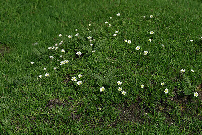 BUITEN BEELD Foto: 449066