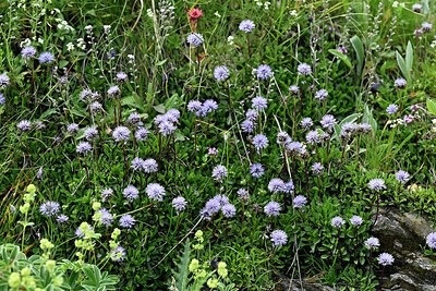 BUITEN BEELD Foto: 449070