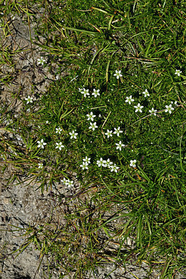 BUITEN BEELD Foto: 449077