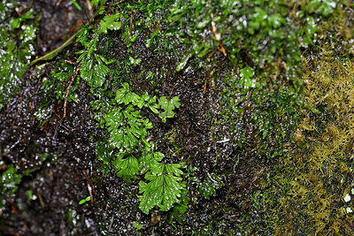 BUITEN BEELD Foto: 449087