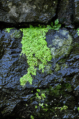 BUITEN BEELD Foto: 449089