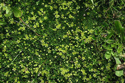 BUITEN BEELD Foto: 449095