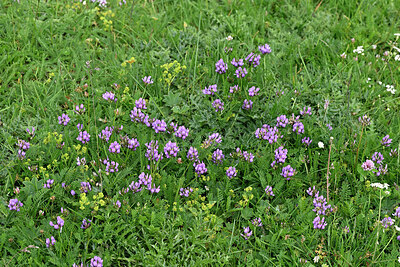 BUITEN BEELD Foto: 449104
