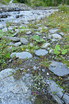 BUITEN BEELD Foto: 449111