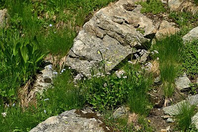 BUITEN BEELD Foto: 449114