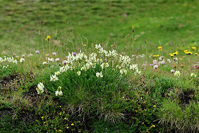 BUITEN BEELD Foto: 449120