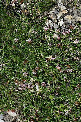 BUITEN BEELD Foto: 449123
