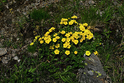 BUITEN BEELD Foto: 449125