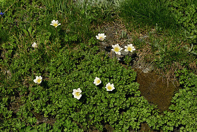 BUITEN BEELD Foto: 449130