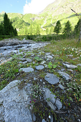 BUITEN BEELD Foto: 449138