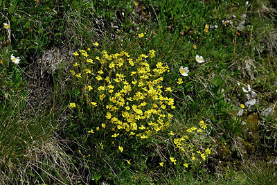 BUITEN BEELD Foto: 449142