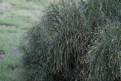 BUITEN BEELD Foto: 449149
