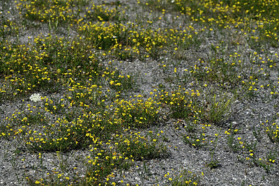 BUITEN BEELD Foto: 449153