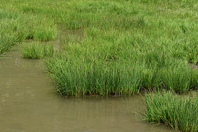 BUITEN BEELD Foto: 449154