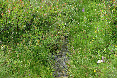 BUITEN BEELD Foto: 449160