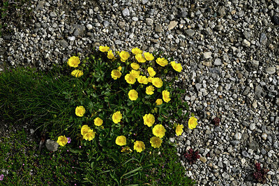 BUITEN BEELD Foto: 449164