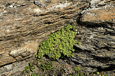 BUITEN BEELD Foto: 449165