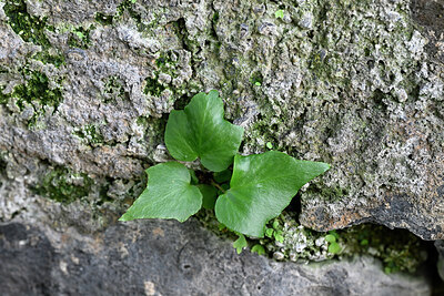 BUITEN BEELD Foto: 449168