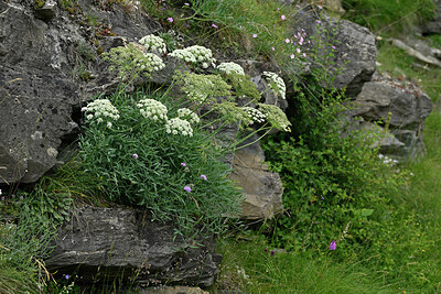 BUITEN BEELD Foto: 449169