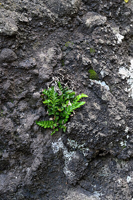 BUITEN BEELD Foto: 449170