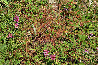 BUITEN BEELD Foto: 449176