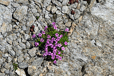 BUITEN BEELD Foto: 449183