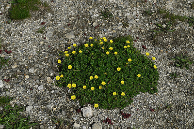 BUITEN BEELD Foto: 449187