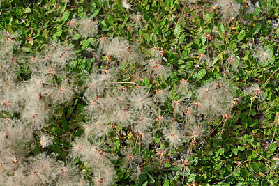 BUITEN BEELD Foto: 449205