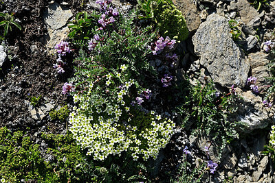 BUITEN BEELD Foto: 449206