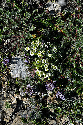 BUITEN BEELD Foto: 449211