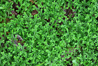 BUITEN BEELD Foto: 449218