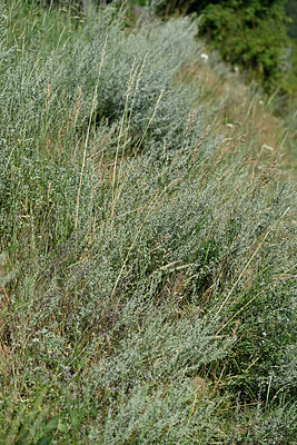 BUITEN BEELD Foto: 449222