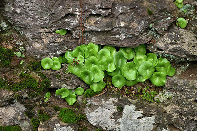 BUITEN BEELD Foto: 449223