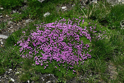 BUITEN BEELD Foto: 449228