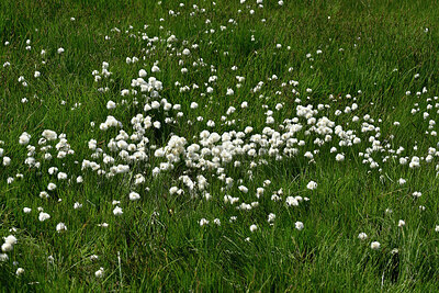 BUITEN BEELD Foto: 449230