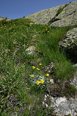 BUITEN BEELD Foto: 449234