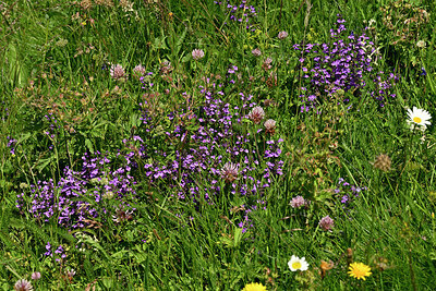 BUITEN BEELD Foto: 449236